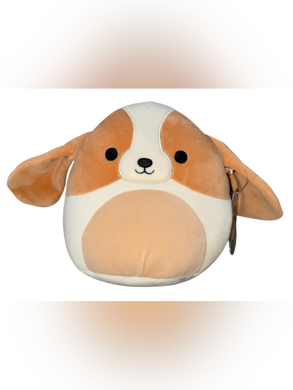 Squishmallows Cream & Tan Dog Plush Toy Pillow Adela nwt